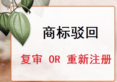 商標駁回復審還是重新申請